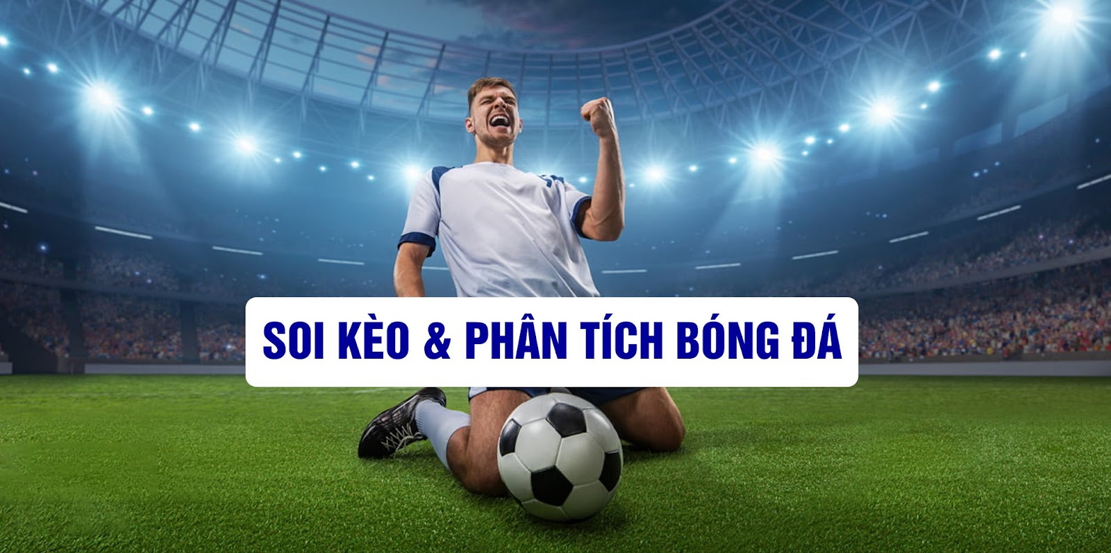 Các chuyên gia hàng đầu chuyên đưa ra các nhận định và soi kèo Các chuyên gia hàng đầu chuyên đưa ra các nhận định và soi kèo