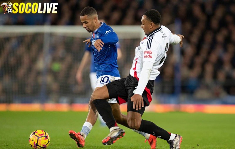 Fulham sẽ đối đầu với Everton trên sân nhà ở vòng 36 EPL Fulham sẽ đối đầu với Everton trên sân nhà ở vòng 36 EPL