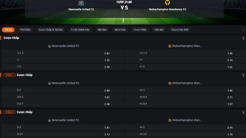 Newcastle vs Wolves